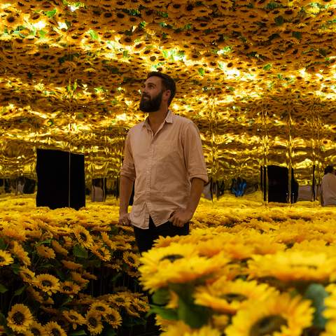 Huge Multi-Sensory Exhibition 'Van Gogh Alive' Is Touring Australia This Year