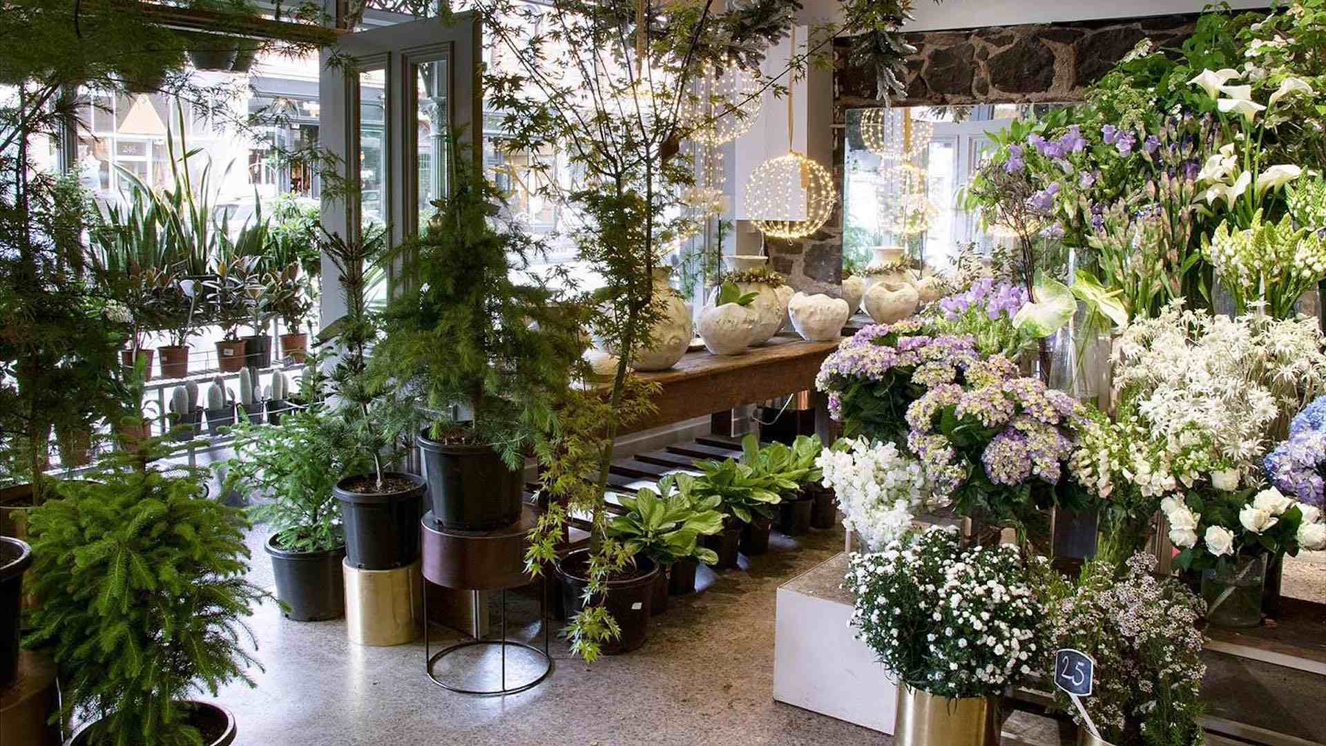Melbourne's Best Florists for Making Grand Gestures Concrete