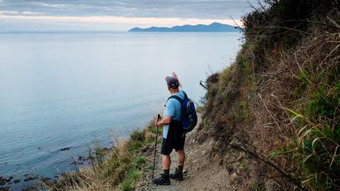 best walks in wellington