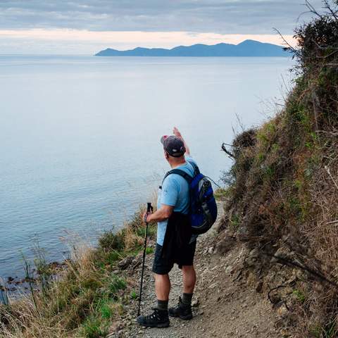 best walks in wellington