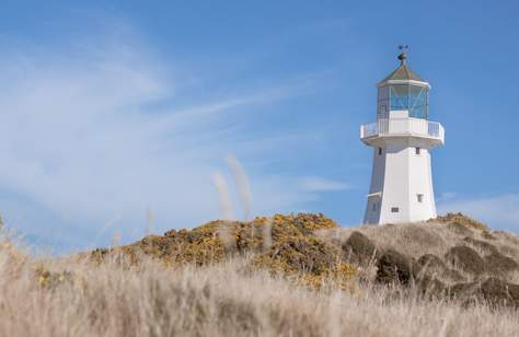 Four of the Best Coastal Walks in Wellington