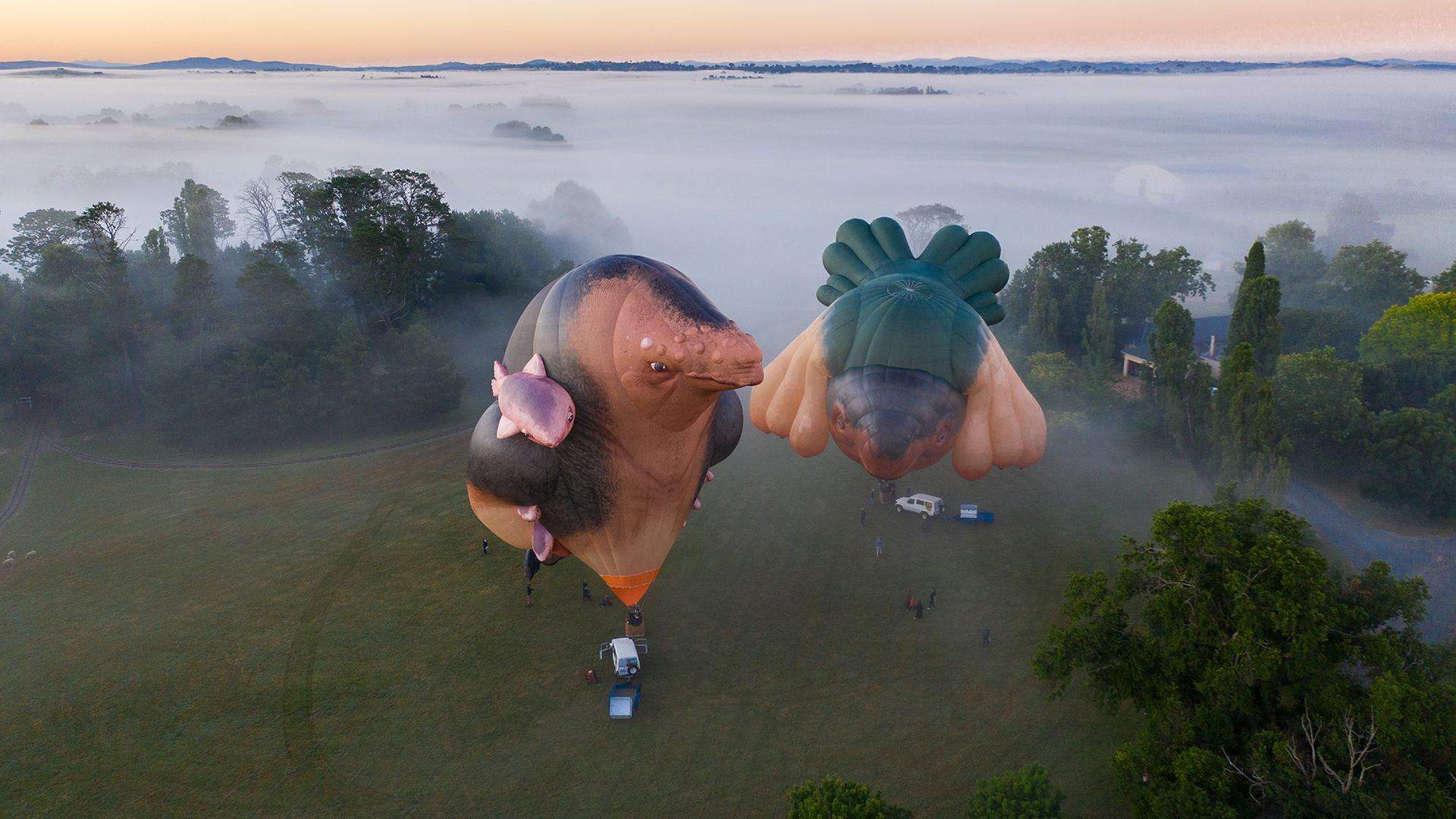 Patricia Piccinini's 'Skywhale' Has Returned to the Skies with Its New Companion 'Skywhalepapa'