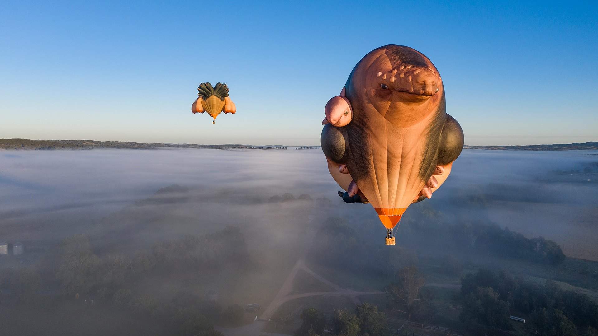Patricia Piccinini's 'Skywhale' and 'Skywhalepapa' Will Soon Float Through Melbourne's Skies