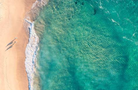 Summer Green Palms - Bath Mat — Beach Surf Decor by Nature