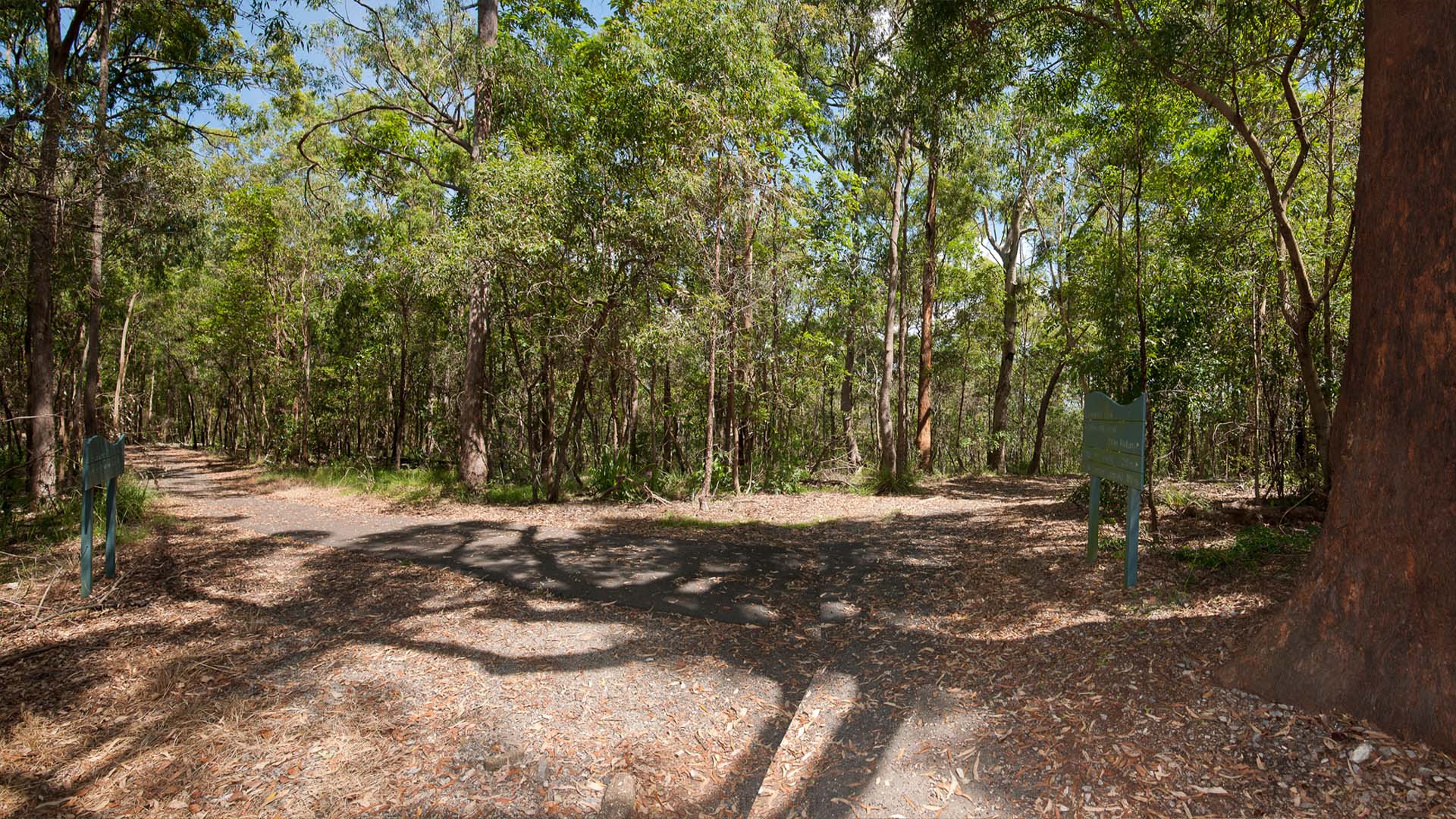 Whites Hill Reserve