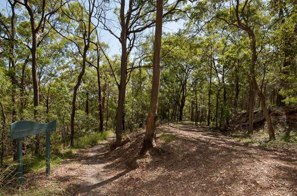 Whites Hill Reserve - Concrete Playground