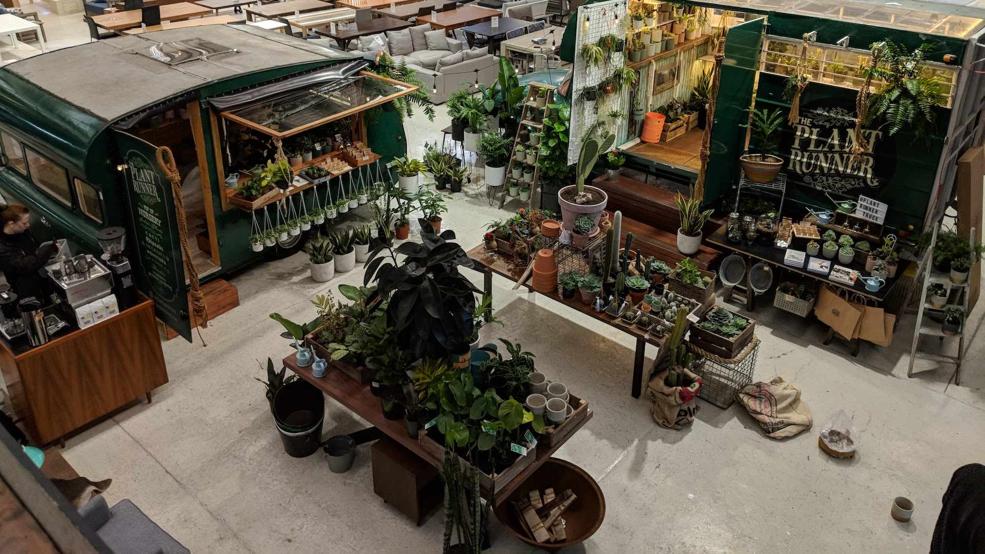 Crazy Plant People: Massive Indoor Sale