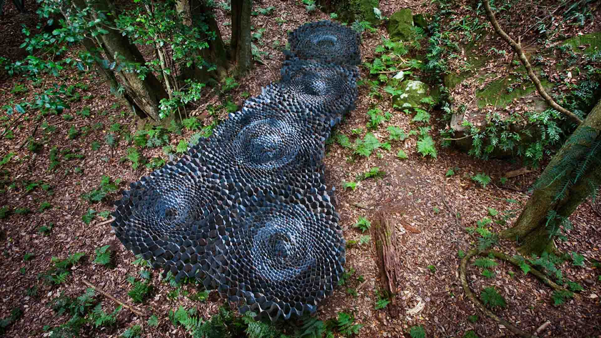 Sculpture at Scenic World Is Bringing Its Openair Art Gallery Back to the Blue Mountains for 2021