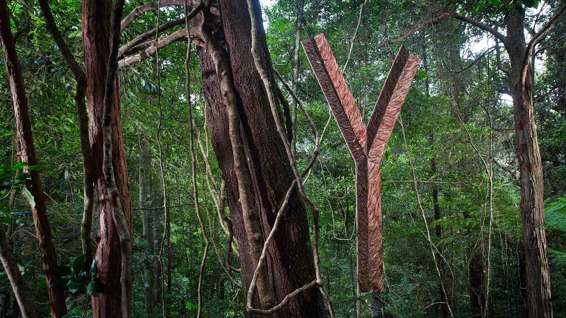 Sculpture at Scenic World Is Bringing Its Openair Art Gallery Back to the Blue Mountains for 2021