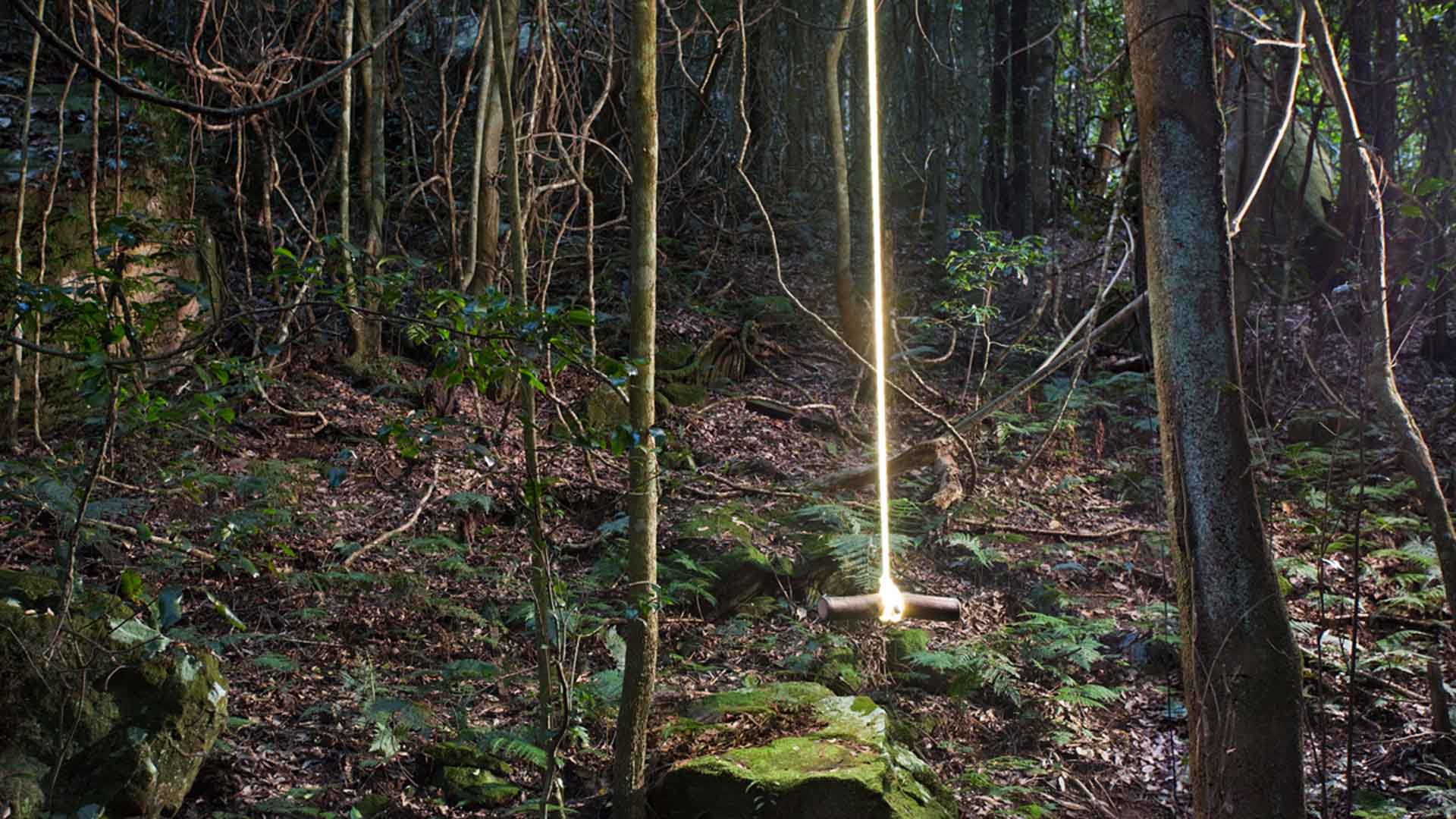Sculpture at Scenic World Is Bringing Its Openair Art Gallery Back to the Blue Mountains for 2021