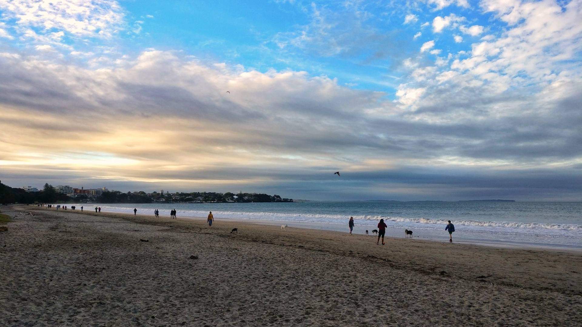 Five Rewarding Pit Stops to Make When You're Tackling the Devonport to Takapuna Run