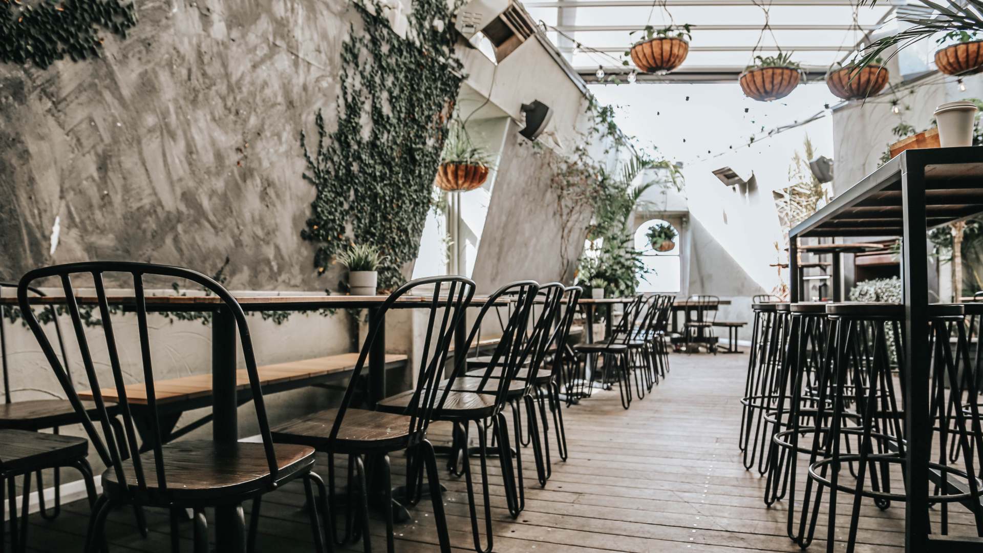 Elm Is Darlinghurst's New Rooftop Cocktail Bar Located Above The Taphouse