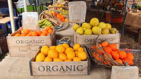 Marrickville Organic Food and Farmers Market