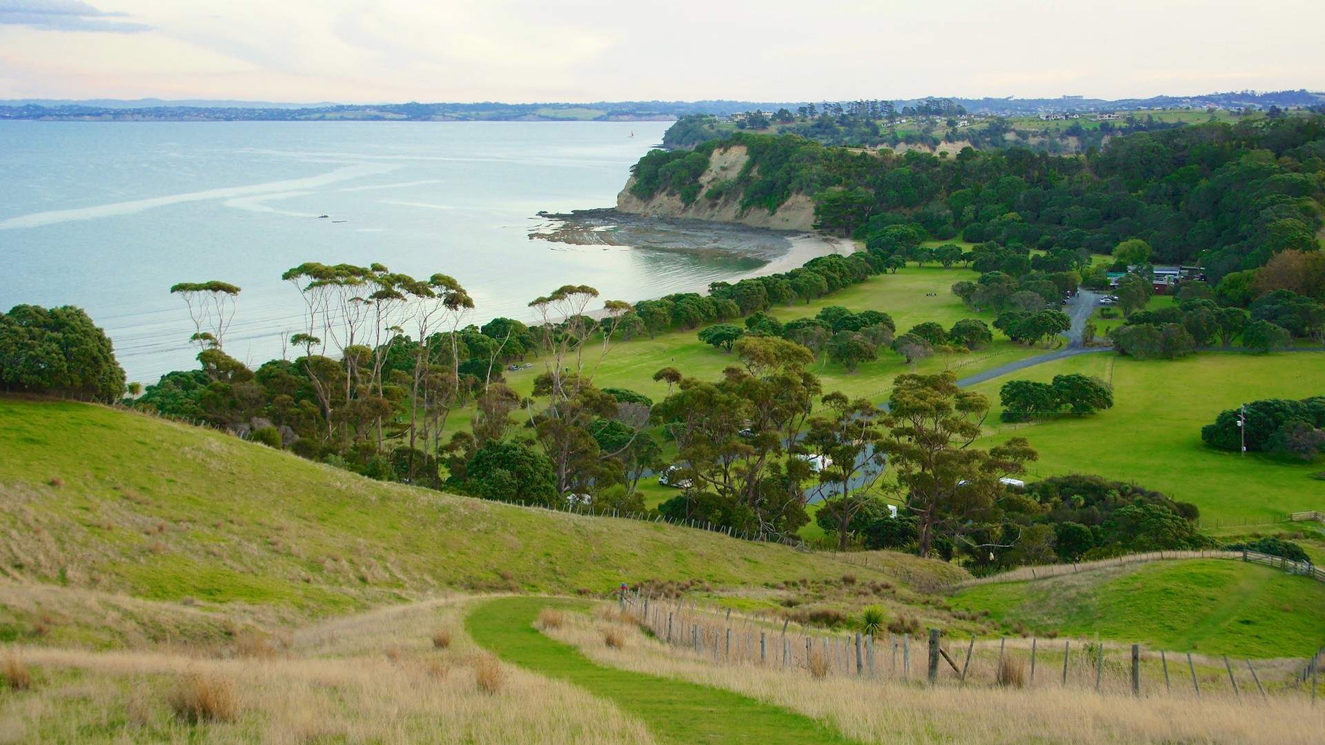 An Auckland Running Itinerary for When You're Seeking Captivating Views