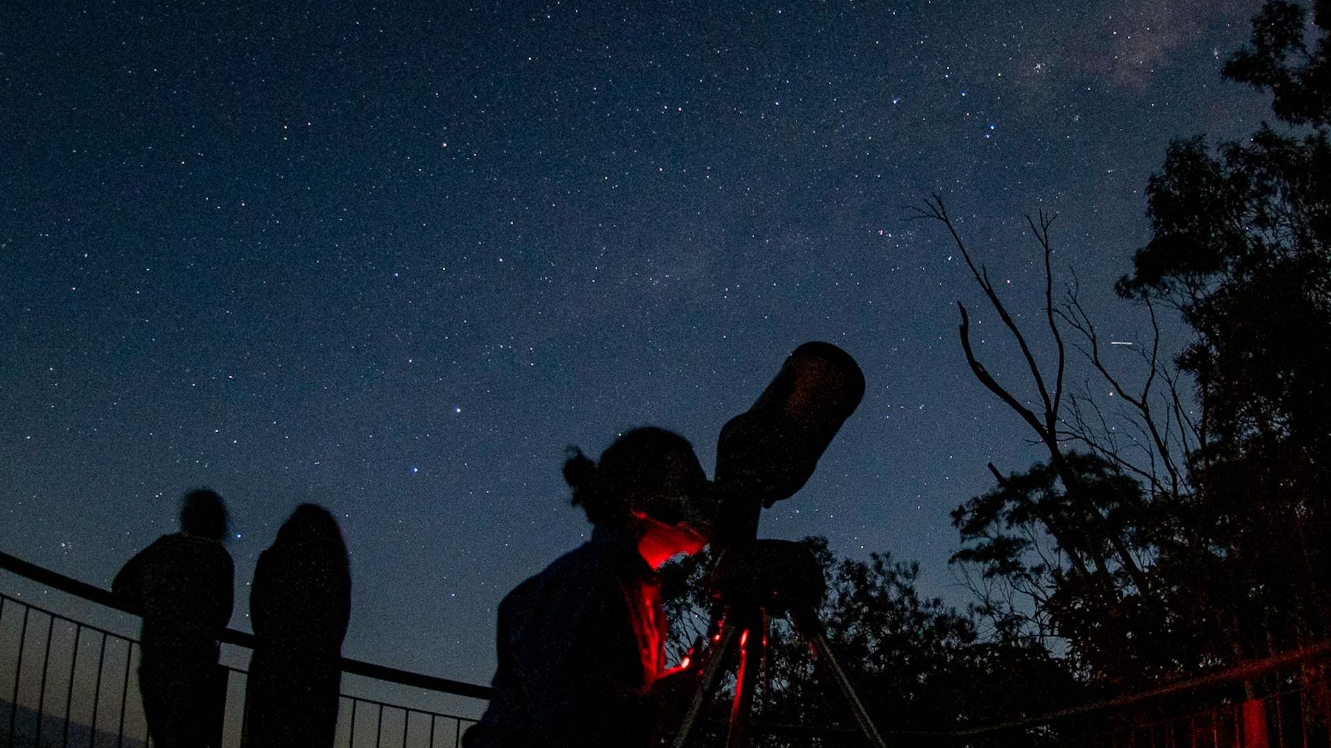 Blue Mountains Wine-Tasting Stargazing Tour