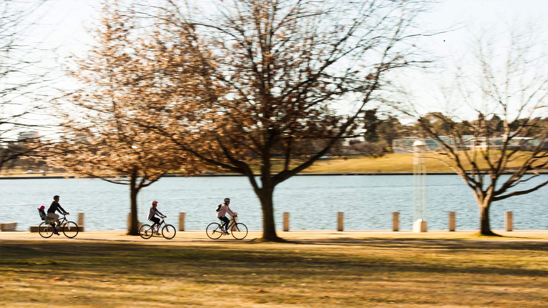 LAKE BURLEY GRIFFIN