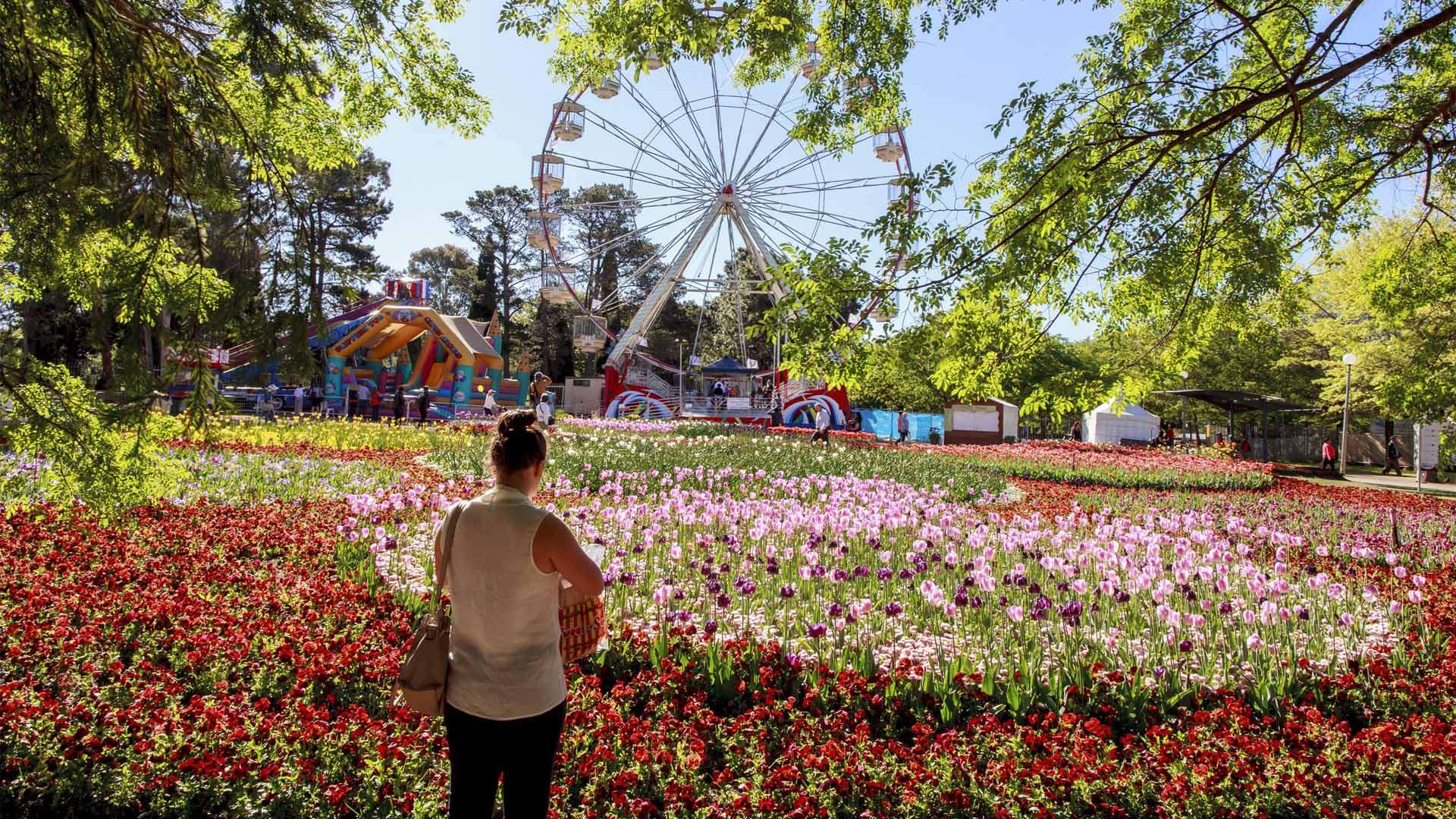 best time to visit canberra floriade