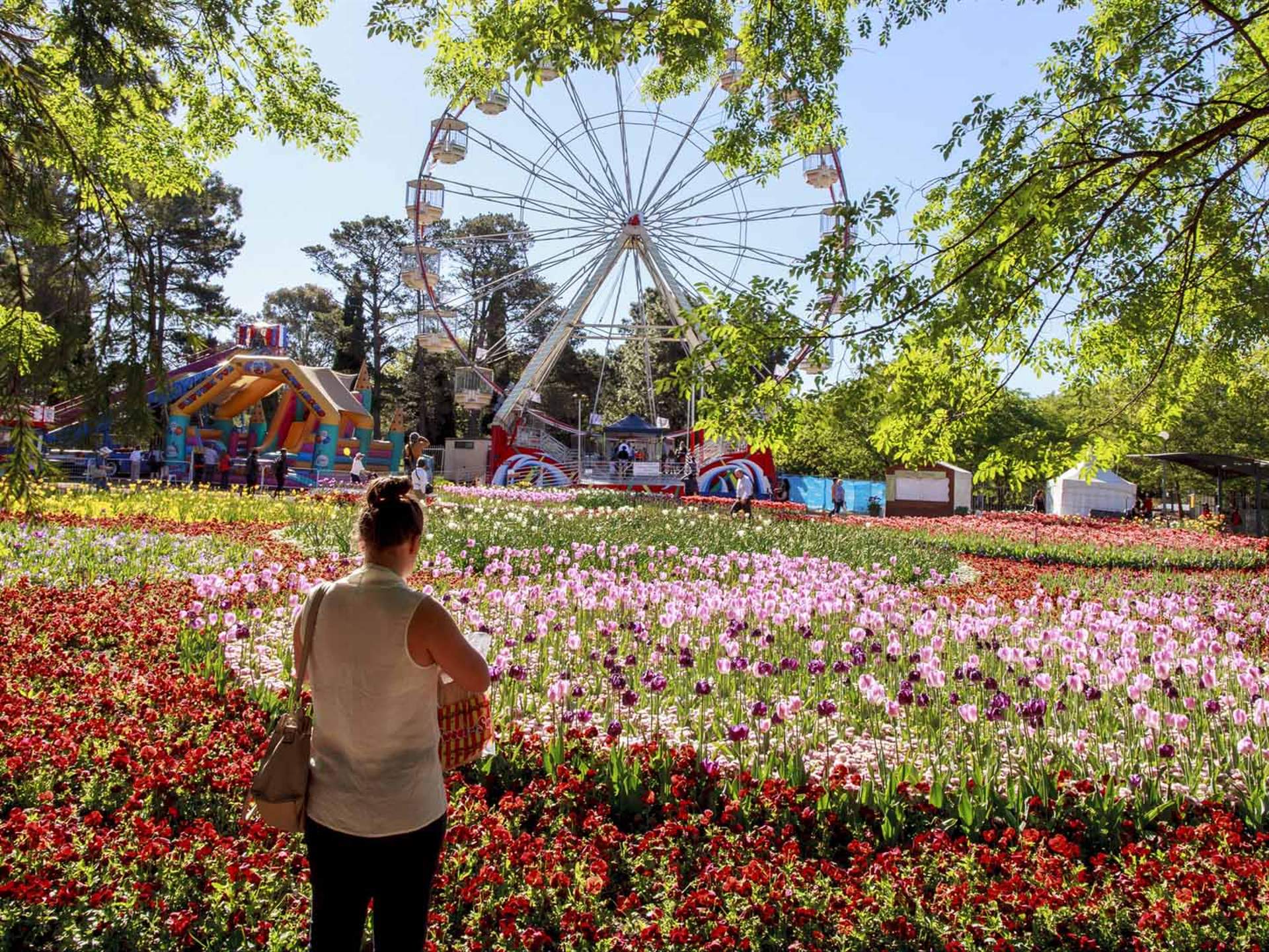 Floriade 2021 - Concrete Playground