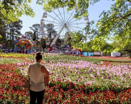 Six Epic Experiences That'll Make You Want to Book a Trip to Canberra This Spring