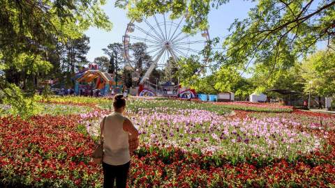 Six Epic Experiences That'll Make You Want to Book a Trip to Canberra This Spring