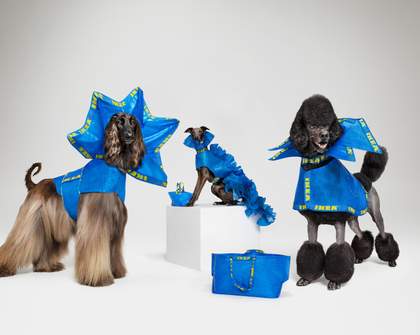 IKEA Wants You to Turn Its Iconic Blue Shopping Bags Into Outfits for Your Dog
