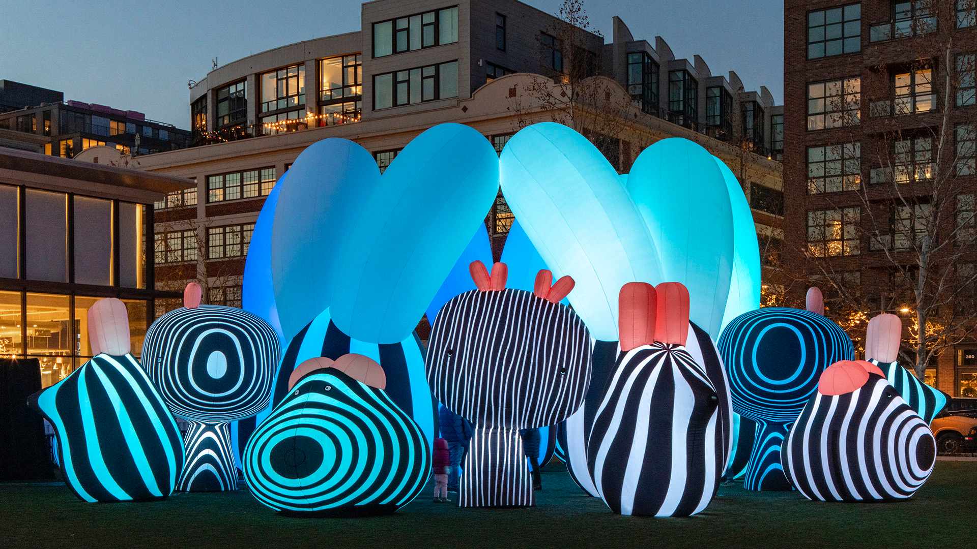 Illuminate Adelaide Is the Latest Huge New Winter Arts Festival Making Its Debut This Year