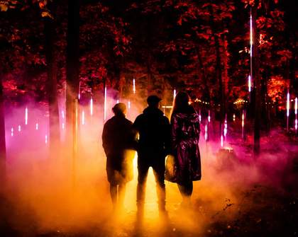 Illuminate Adelaide Is the Latest Huge New Winter Arts Festival Making Its Debut This Year