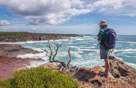 Ten Things You Didn't Realise You Could Do on NSW's Sapphire Coast