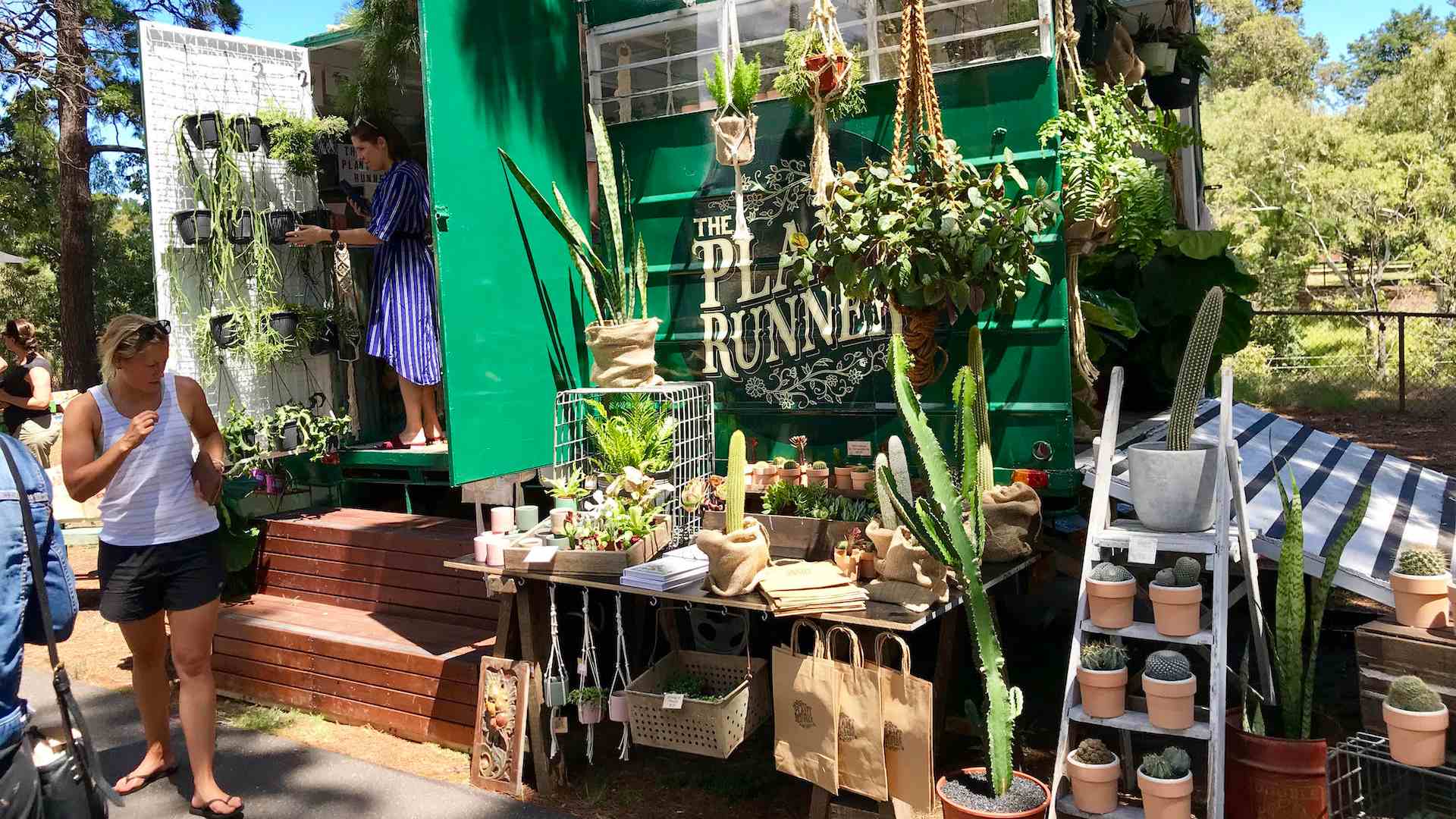 The Plant Runner's Huge Hibernation Indoor Plant Sale