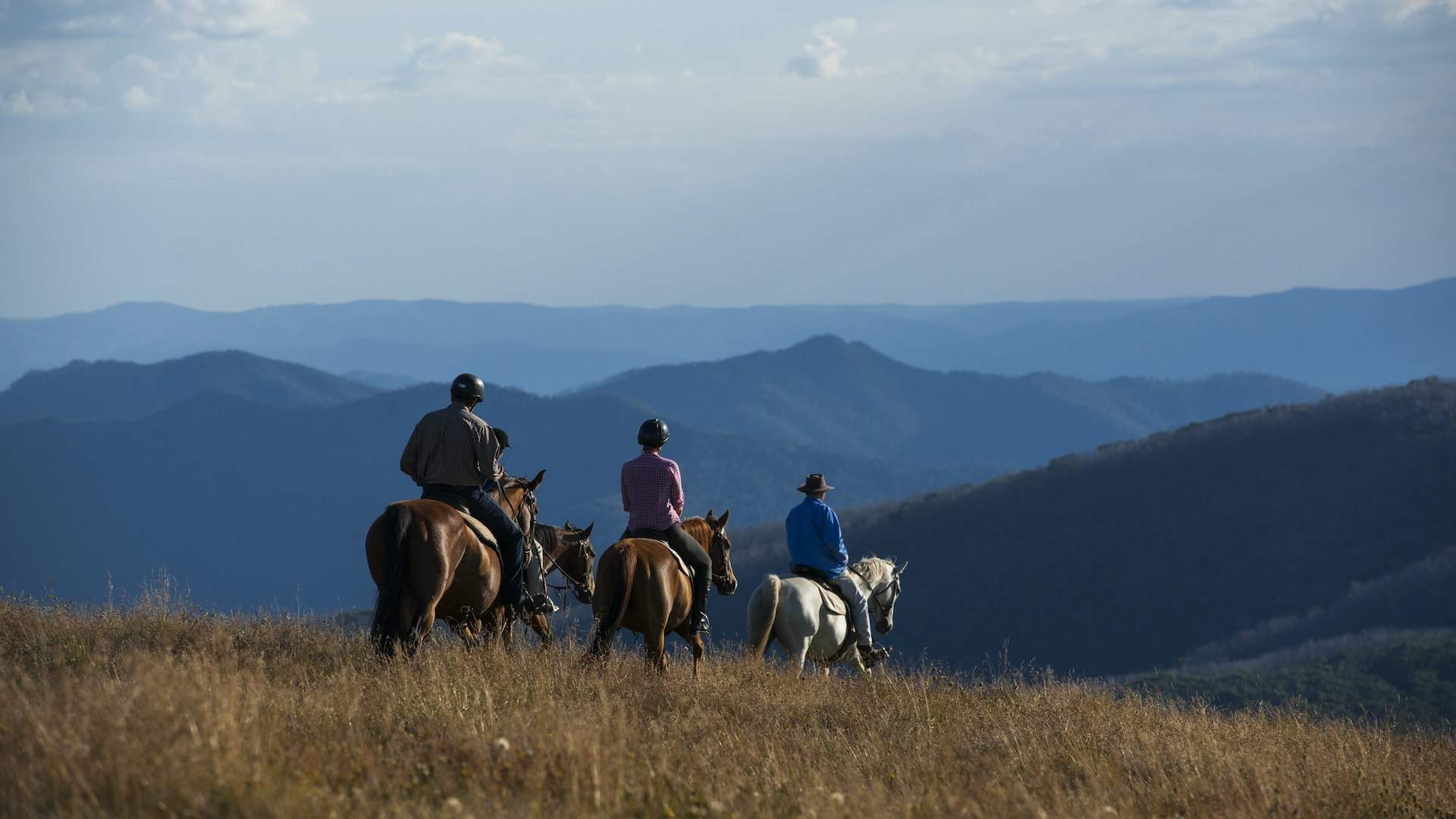 Cross rugged countryside with <a href="https://watsonstrailrides.com.au/">Watsons Mountain Country Trail Rides</a>