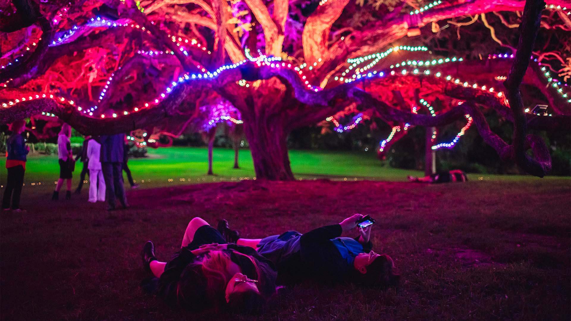 AfterDark Festival Botanica Is Returning to Turn the City Botanic Gardens Into an Outdoor