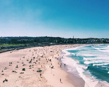 Volleyball Courts at Bondi and Tamarama Beach Are Currently Under Review By the Waverley Council