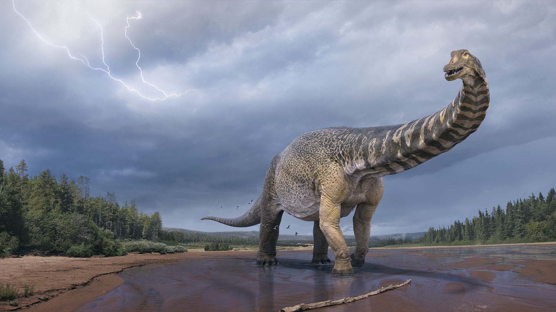 This 30-Metre-Long Dinosaur Found in Outback Queensland Is Officially Australia's Largest Ever