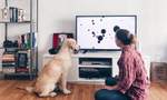 Dog TV Is the New Streaming Platform That'll Keep Your Pooch Entertained While You're Out