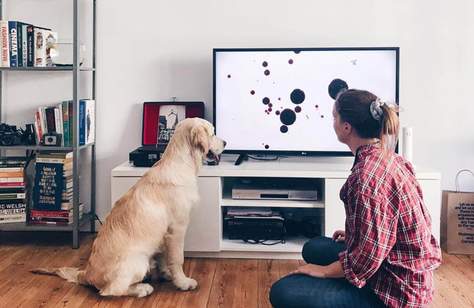 Dog TV Is the New Streaming Platform That'll Keep Your Pooch Entertained While You're Out