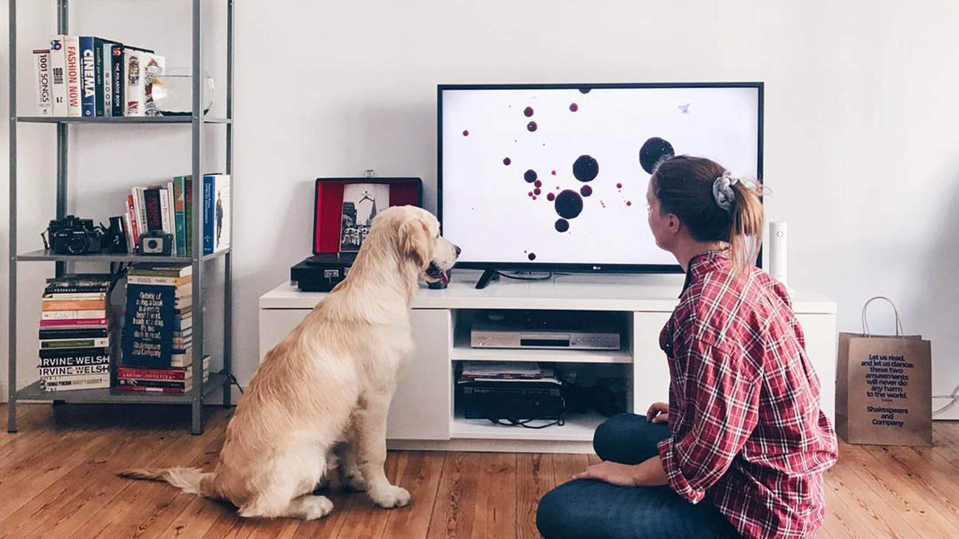 Dog TV Is the New Streaming Platform That'll Keep Your Pooch