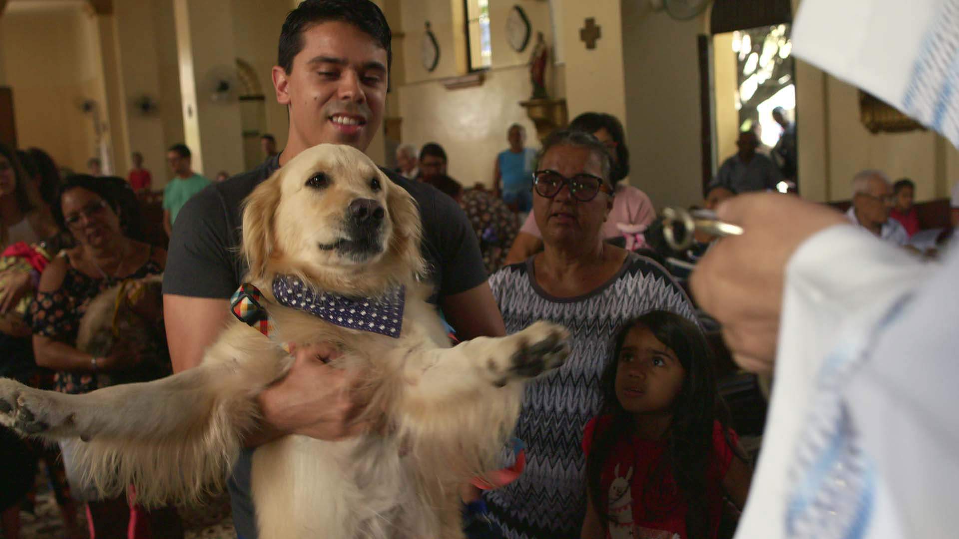 Photo of La adorable serie documental «perros» de Netflix regresa para una segunda temporada en julio