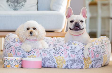 Gifts to Buy for Your Fur Baby Because You Just Can't Help Yourself