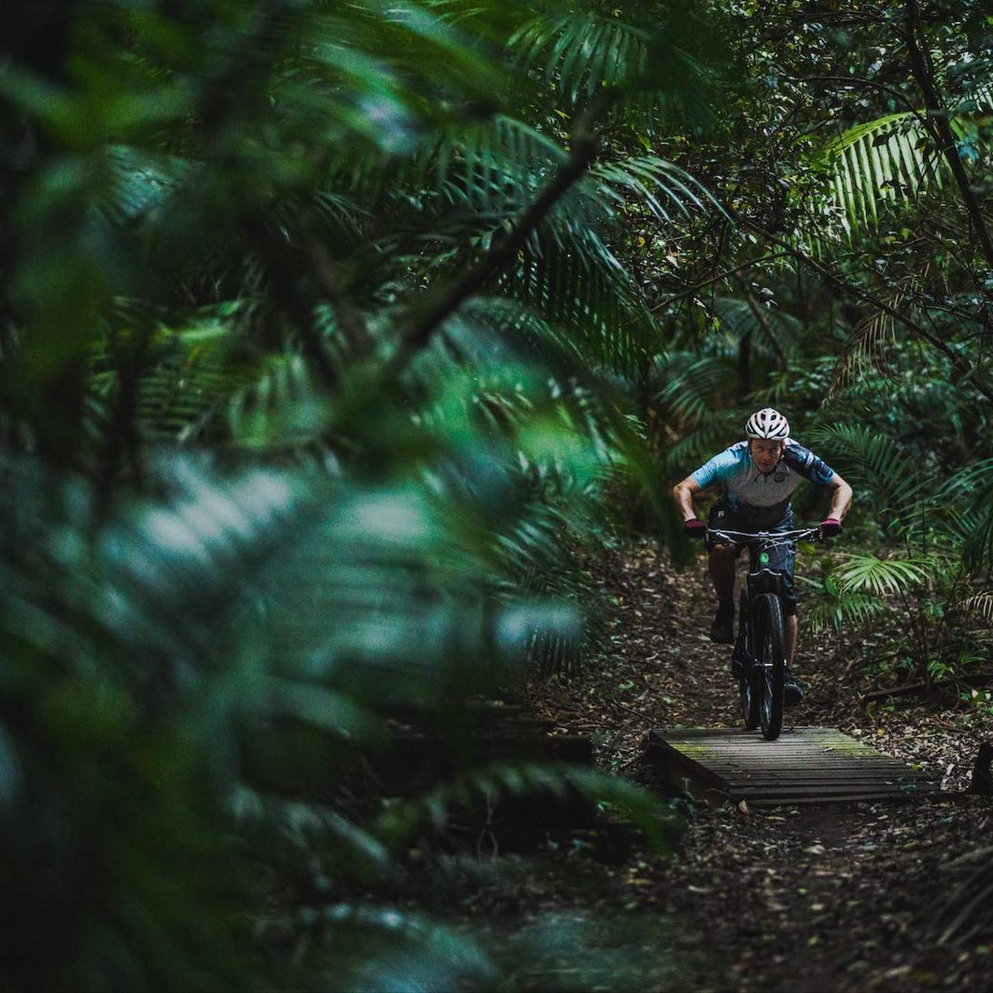 Watagan cycle clearance track