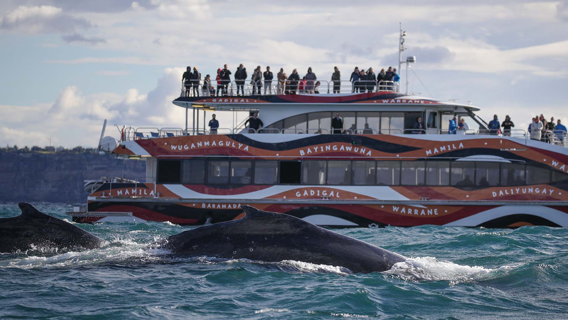 This Harbour Ferry Has Been Kitted Out with the Names of Sydney's First Nations' Language Groups