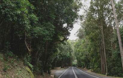 Background image for How to Spend 48 Hours in Kangaroo Valley