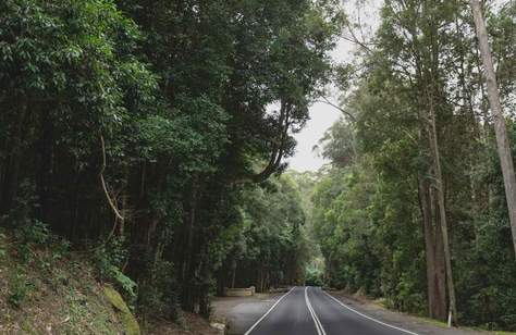 How to Spend 48 Hours in Kangaroo Valley