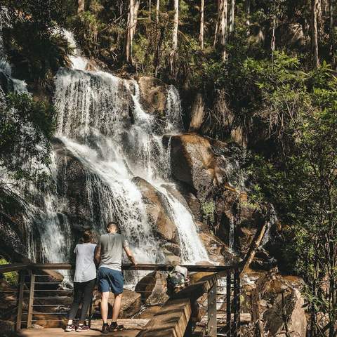 Ampitheartre and Toorongo Falls - one of the best walks near Melbourne