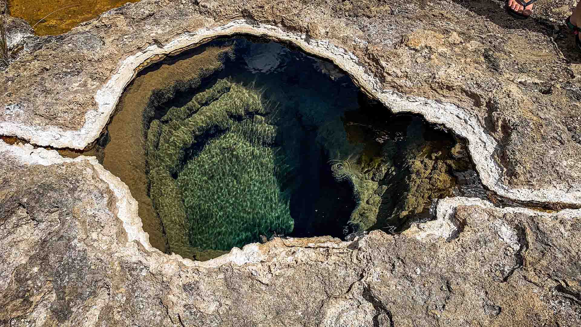 New Hot Springs Have Opened in Far North Queensland If You Need an Excuse for Your Next Getaway