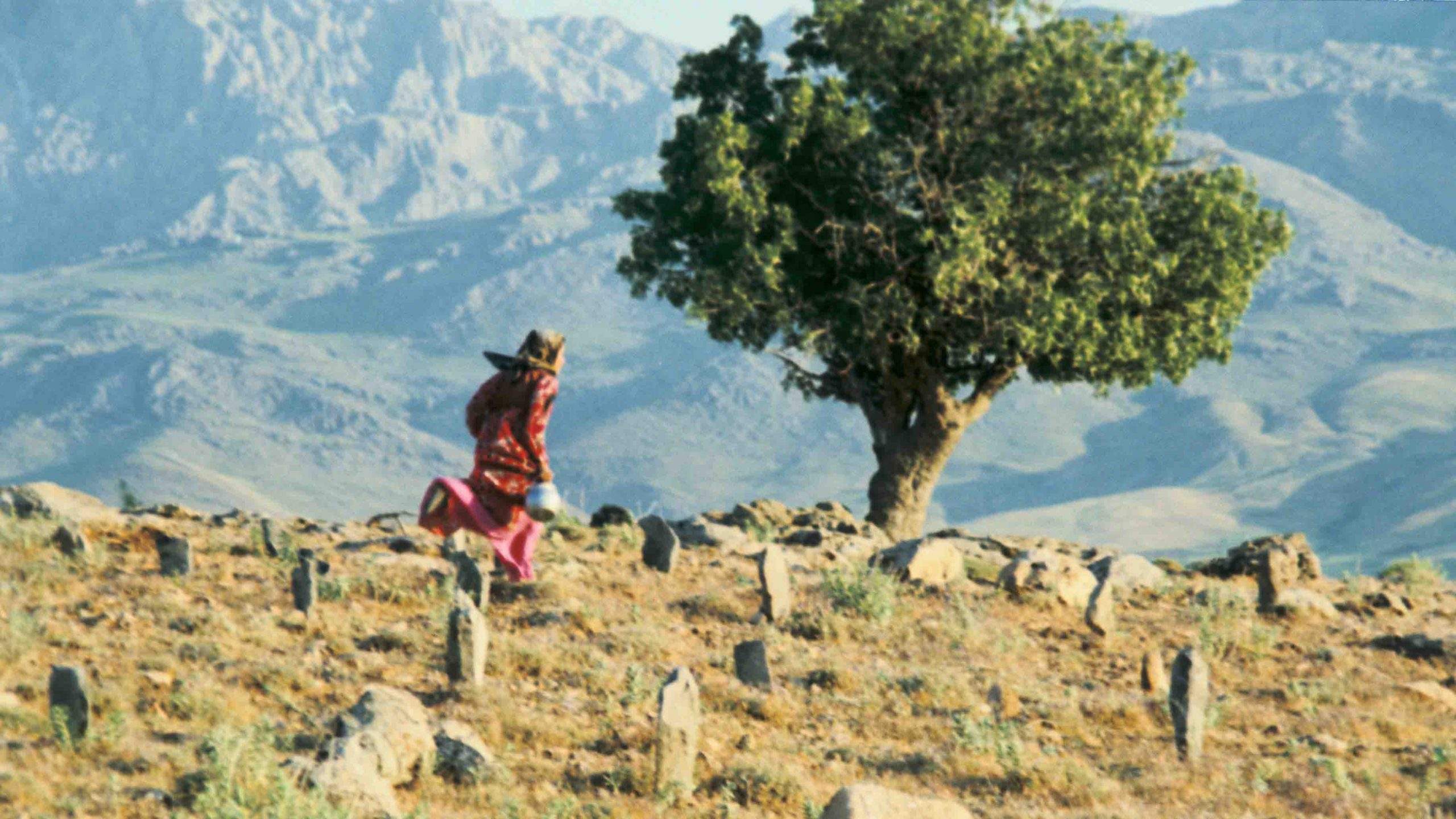 The Films of Abbas Kiarostami, Melbourne