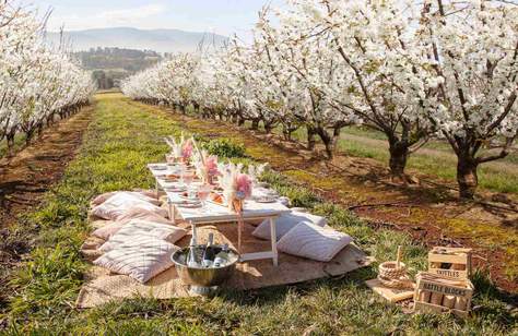 Cherryhill Orchards Blossom Festival 2022