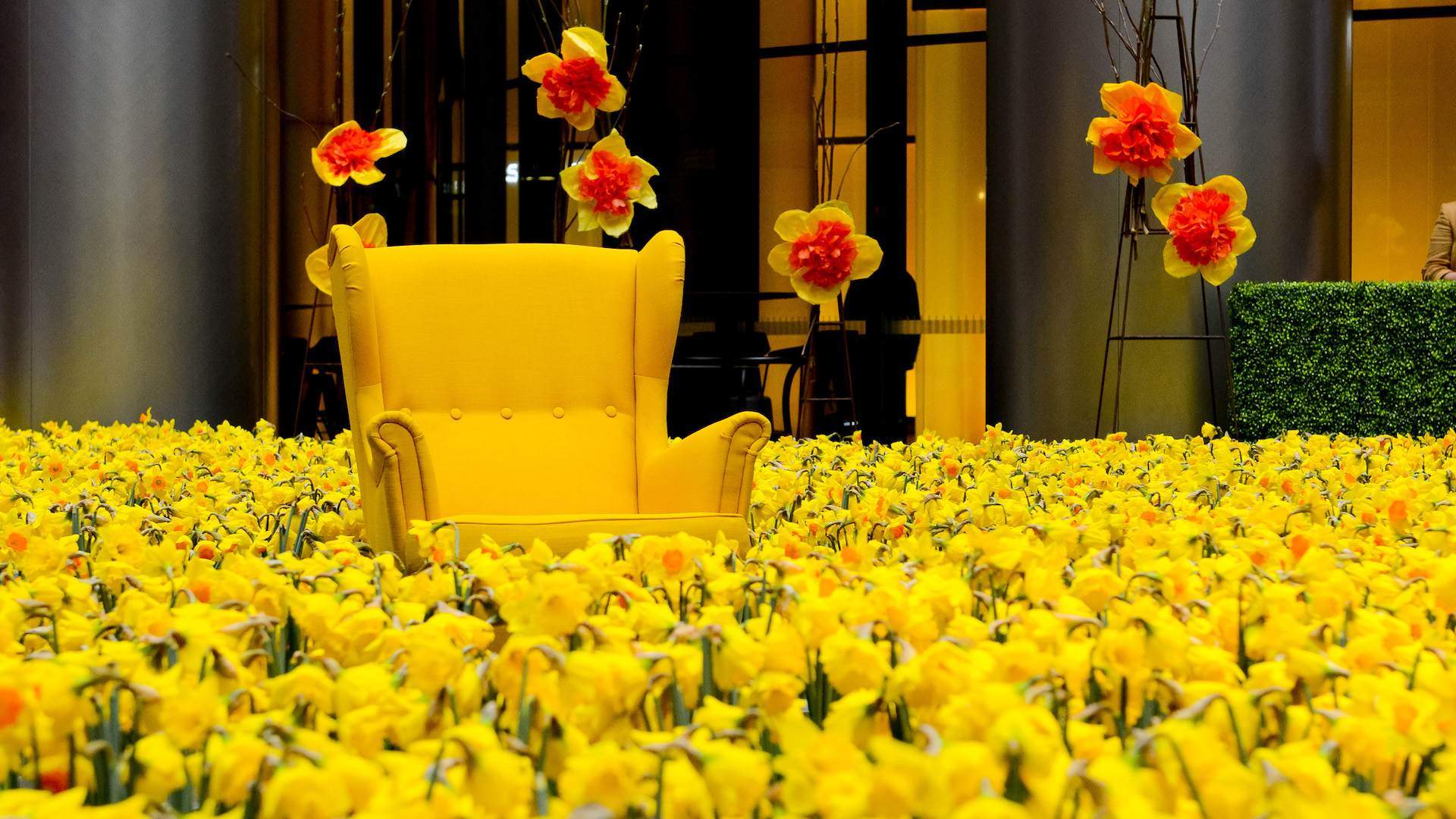 Daffodil Day 2021