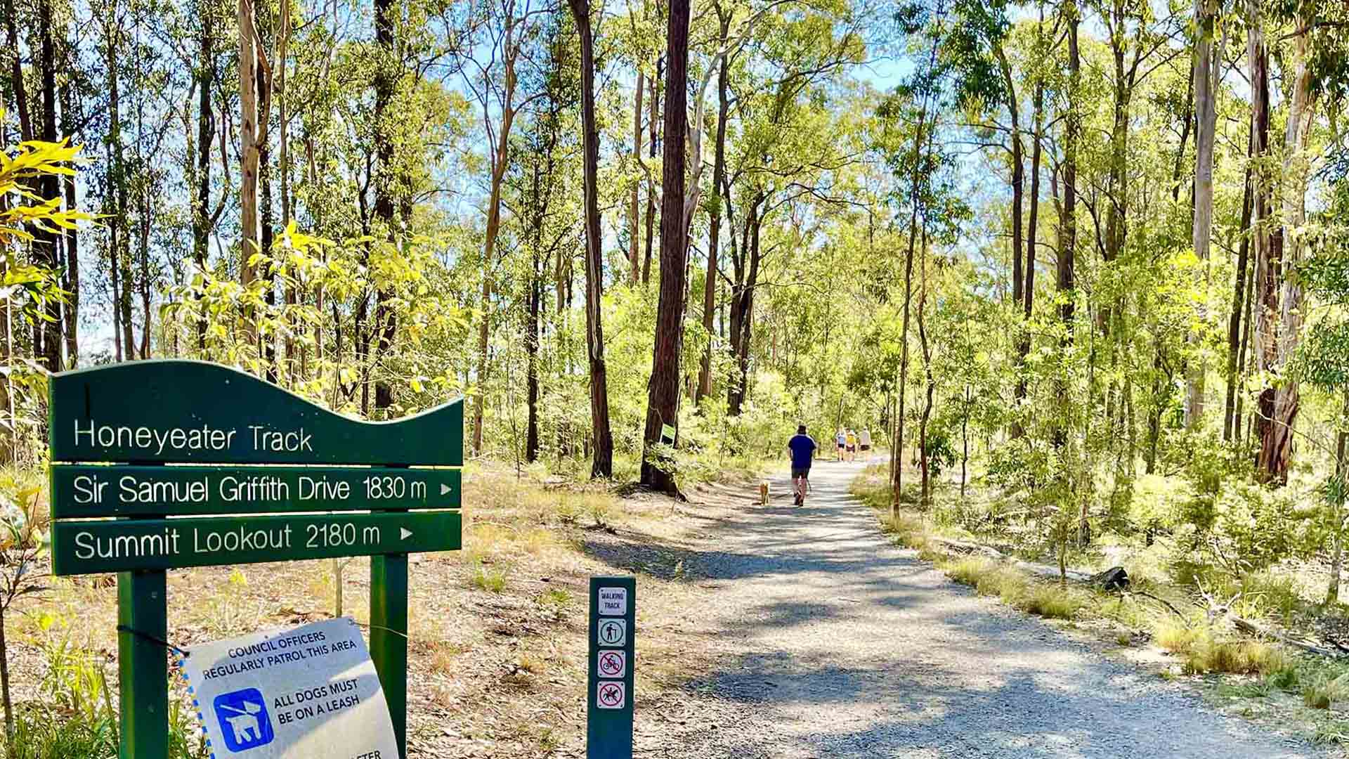 MT COOT-THA RESERVE - one of the best spots for Brisbane hiking.