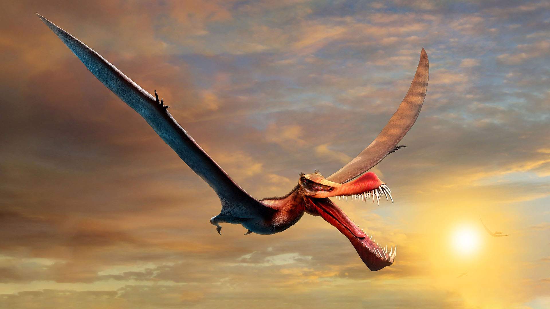 This Just-Discovered Flying Reptile Once Soared Through Australia's Prehistoric Skies Like a Dragon