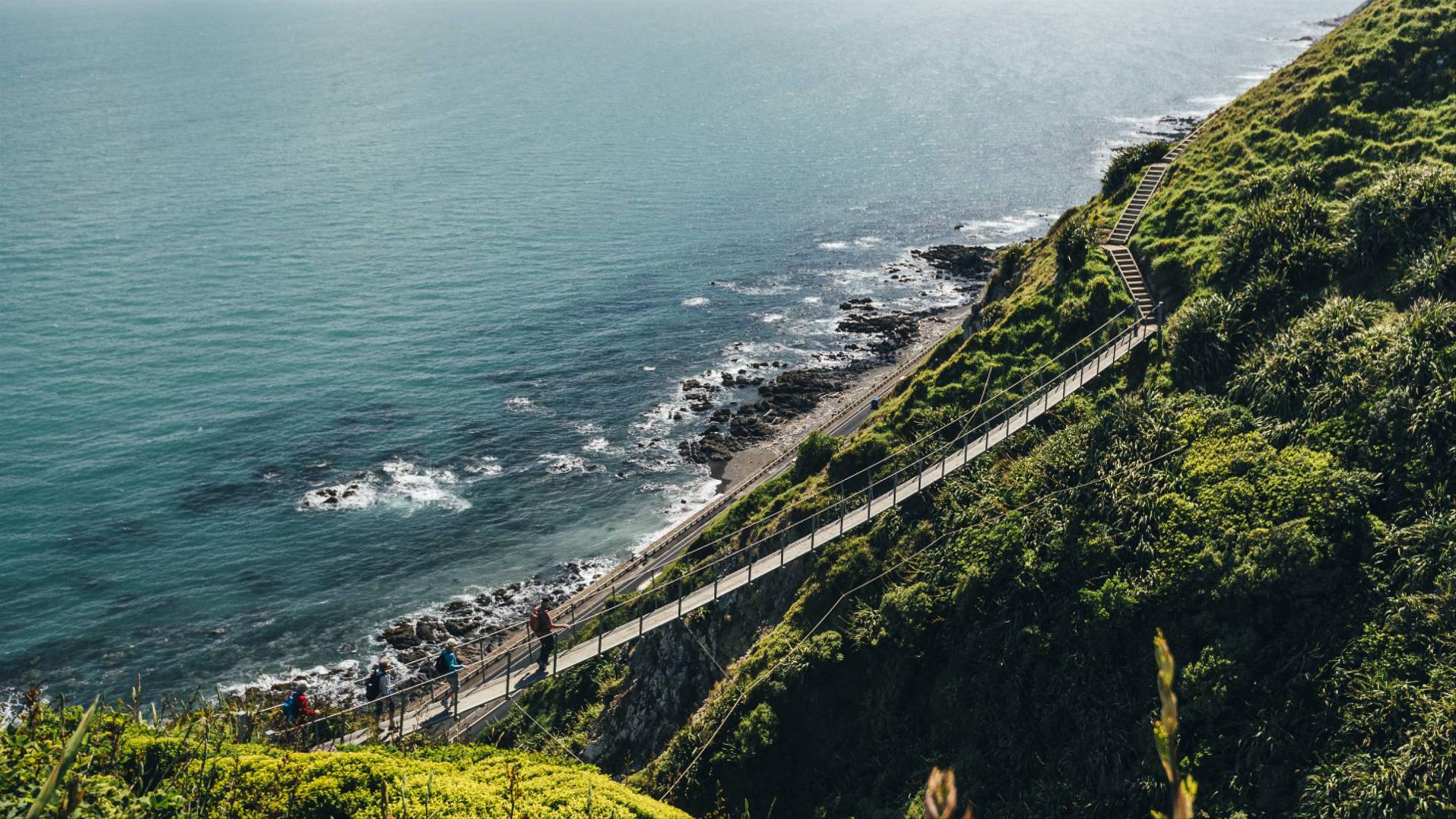 Nine of the Best Day Hikes to Conquer In and Around Wellington ...